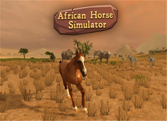 非洲马模拟器