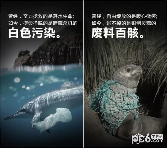 守护这片海