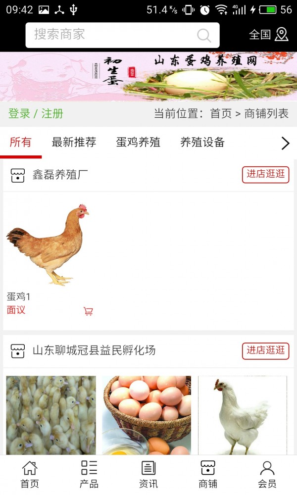 山东蛋鸡养殖网