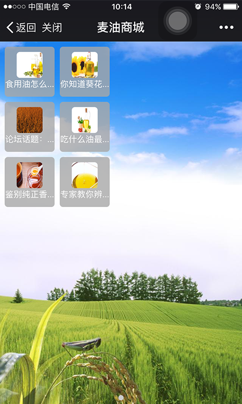 麦油商城
