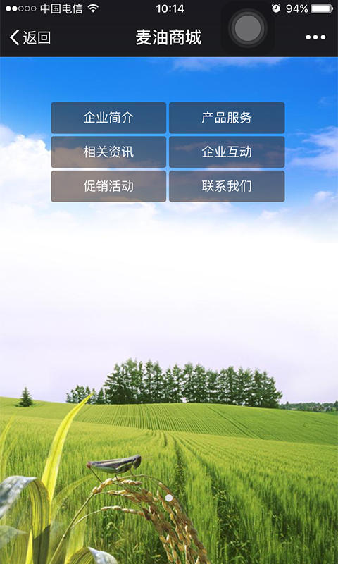 麦油商城