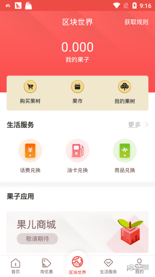 淘果儿