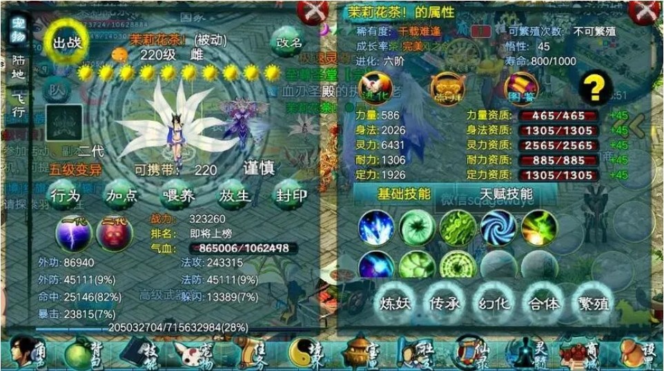 忘仙天尊怎么养