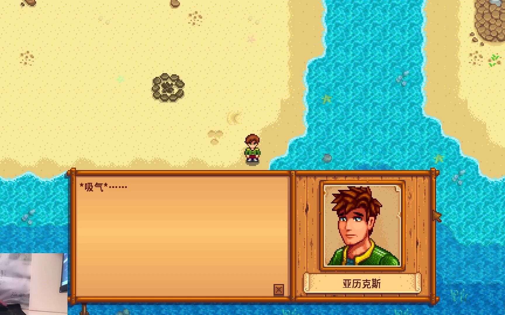 星露谷物语怎么跟亚历克斯结婚