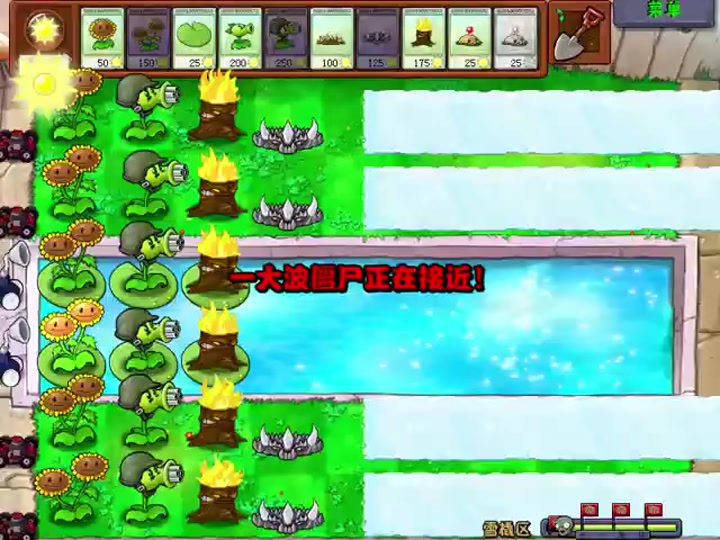 植物大战僵尸全面冻结怎么玩